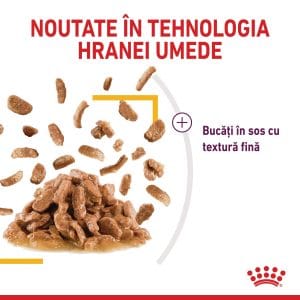 Royal Canin Sensory Taste, hrana umeda pisici, stimularea gustului (in sos), 12 x 85 g