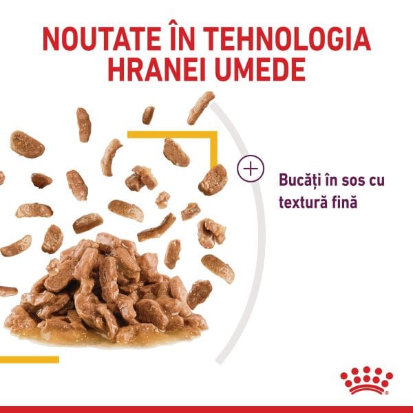 Royal Canin Sensory Taste, hrana umeda pisici, stimularea gustului (in sos), 12 x 85 g