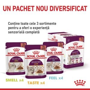 Royal Canin Sensory Taste, hrana umeda pisici, stimularea gustului (in sos), 12 x 85 g