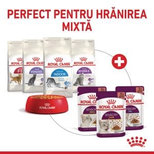 Royal Canin Sensory Taste, hrana umeda pisici, stimularea gustului (in sos), 12 x 85 g