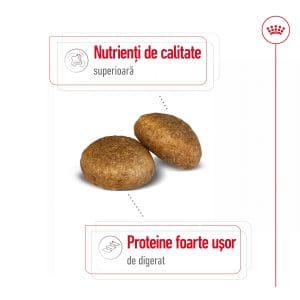 Royal Canin Maxi Adult hrana uscata caine, 15 kg