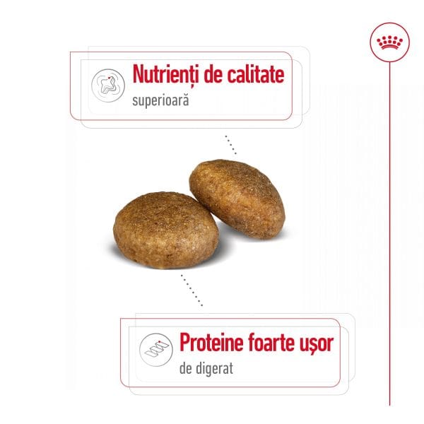 Royal Canin Maxi Adult hrana uscata caine, 15 kg