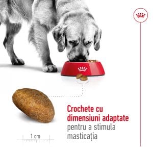 Royal Canin Maxi Adult hrana uscata caine, 15 kg