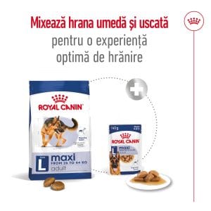 Royal Canin Maxi Adult hrana uscata caine, 15 kg