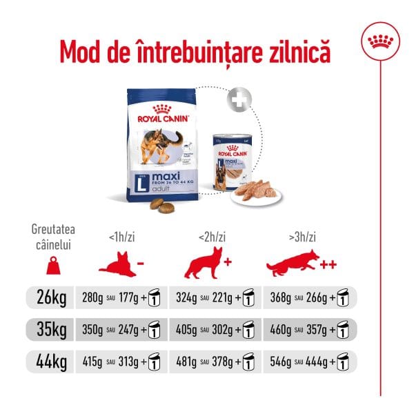 Royal Canin Maxi Adult hrana uscata caine, 15 kg
