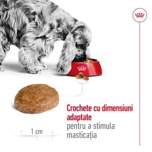 Royal Canin Medium Adult 7+ hrana uscata caine, 4 kg