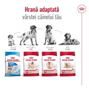 Royal Canin Medium Adult 7+ hrana uscata caine, 4 kg