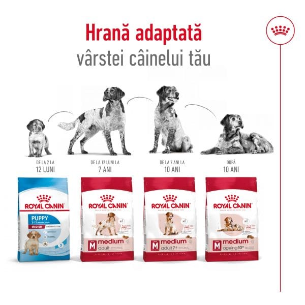 Royal Canin Medium Adult 7+ hrana uscata caine, 4 kg