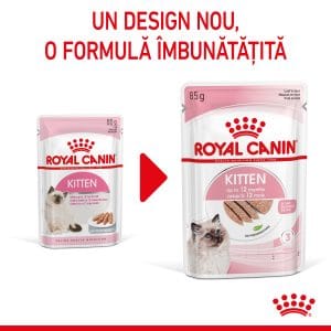 Royal Canin Kitten hrana umeda pisica junior (pate), 12 x 85 g