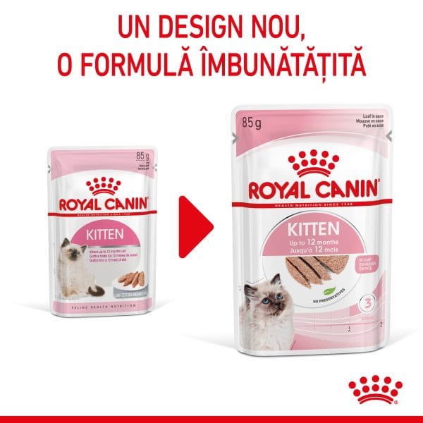 Royal Canin Kitten hrana umeda pisica junior (pate), 12 x 85 g