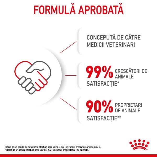 Royal Canin Kitten hrana umeda pisica junior (pate), 12 x 85 g