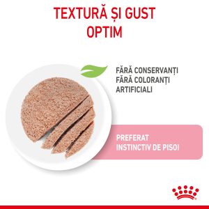 Royal Canin Kitten hrana umeda pisica junior (pate), 12 x 85 g