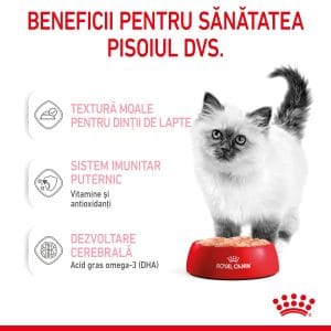 Royal Canin Kitten hrana umeda pisica junior (pate), 12 x 85 g