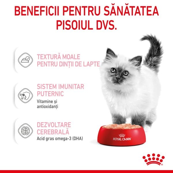 Royal Canin Kitten hrana umeda pisica junior (pate), 12 x 85 g