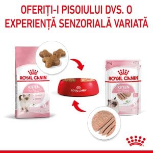 Royal Canin Kitten hrana umeda pisica junior (pate), 12 x 85 g