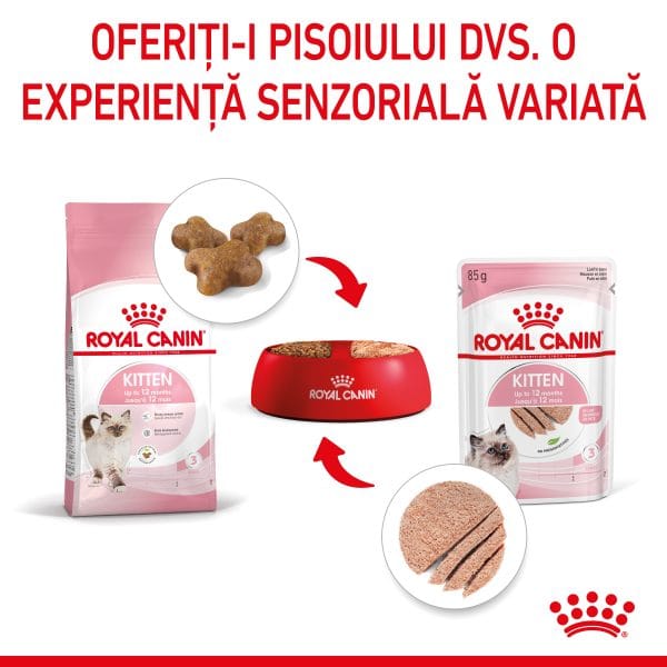 Royal Canin Kitten hrana umeda pisica junior (pate), 12 x 85 g
