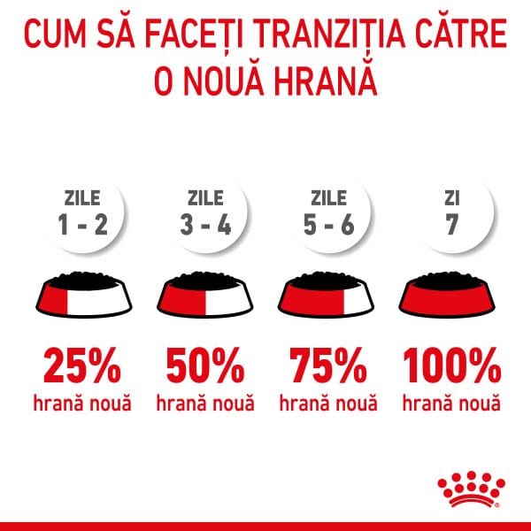 Royal Canin Kitten hrana umeda pisica junior (pate), 12 x 85 g