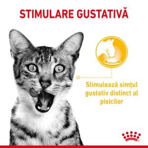 Royal Canin Sensory, hrana umeda pisici, stimularea simturilor (in sos), 12 x 85 g