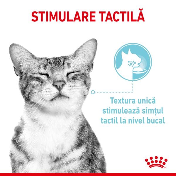Royal Canin Sensory, hrana umeda pisici, stimularea simturilor (in sos), 12 x 85 g