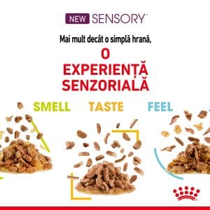 Royal Canin Sensory, hrana umeda pisici, stimularea simturilor (in sos), 12 x 85 g