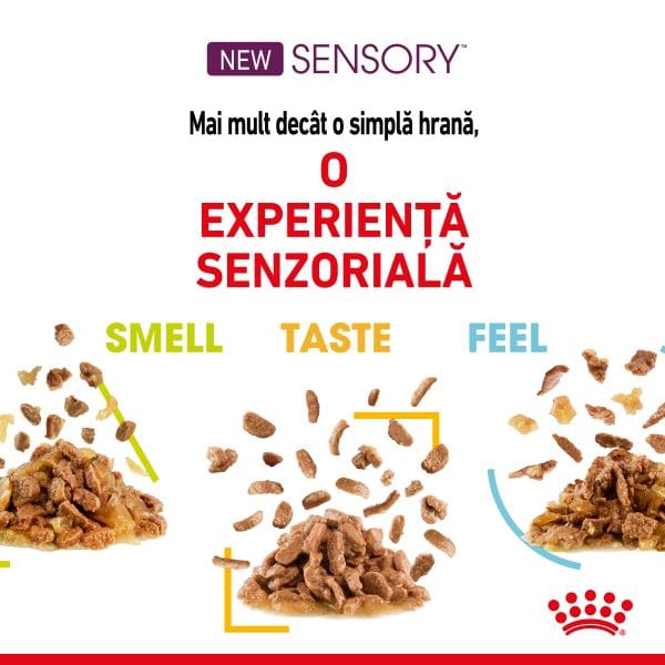 Royal Canin Sensory, hrana umeda pisici, stimularea simturilor (in sos), 12 x 85 g