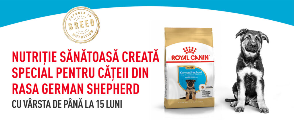 Royal Canin German Shepherd Puppy hrana uscata caine junior Ciobanesc German