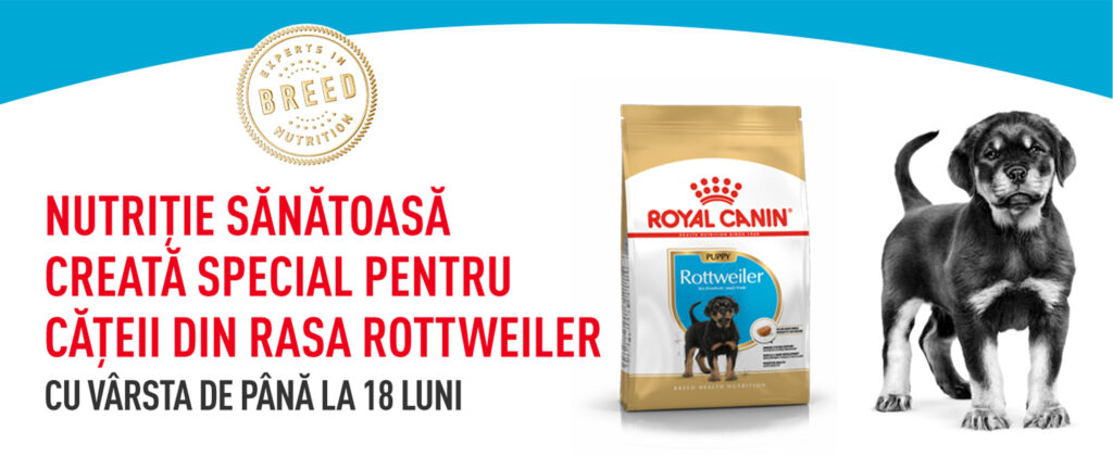 Royal Canin Rottweiler Puppy hrana uscata caine junior, 12 kg