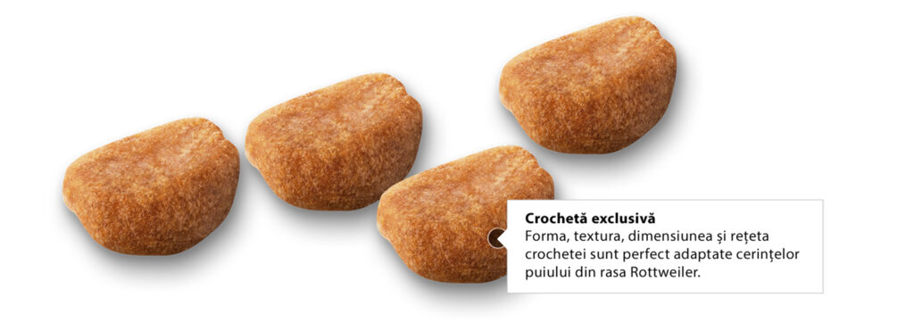 Royal Canin Rottweiler Puppy hrana uscata caine junior, 12 kg