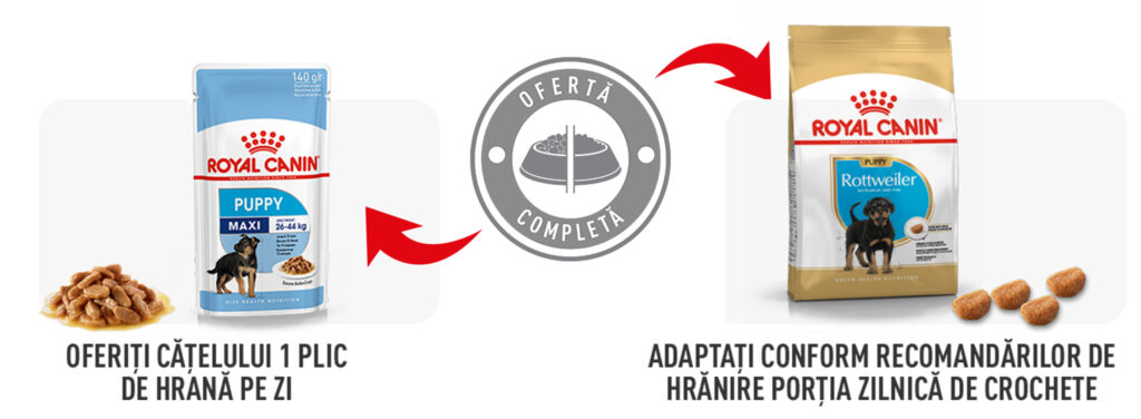 Royal Canin Rottweiler Puppy hrana uscata caine junior, 12 kg