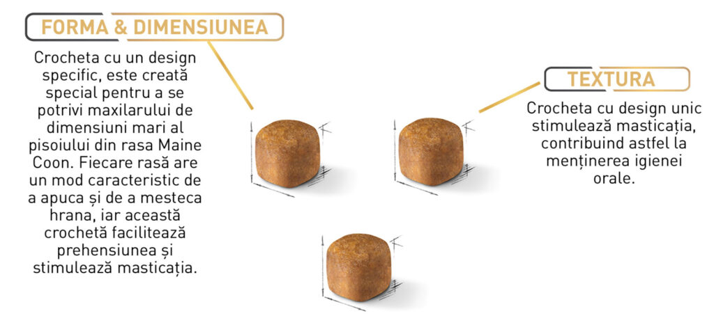 Royal Canin Maine Coon Kitten hrana uscata pisica junior, 10 kg