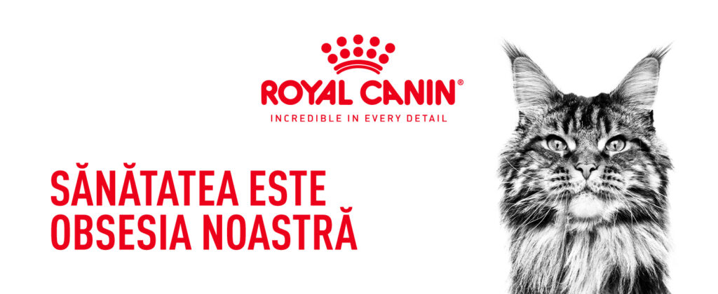 Royal Canin Fit32 Adult hrana uscata pisica, activitate fizica moderata
