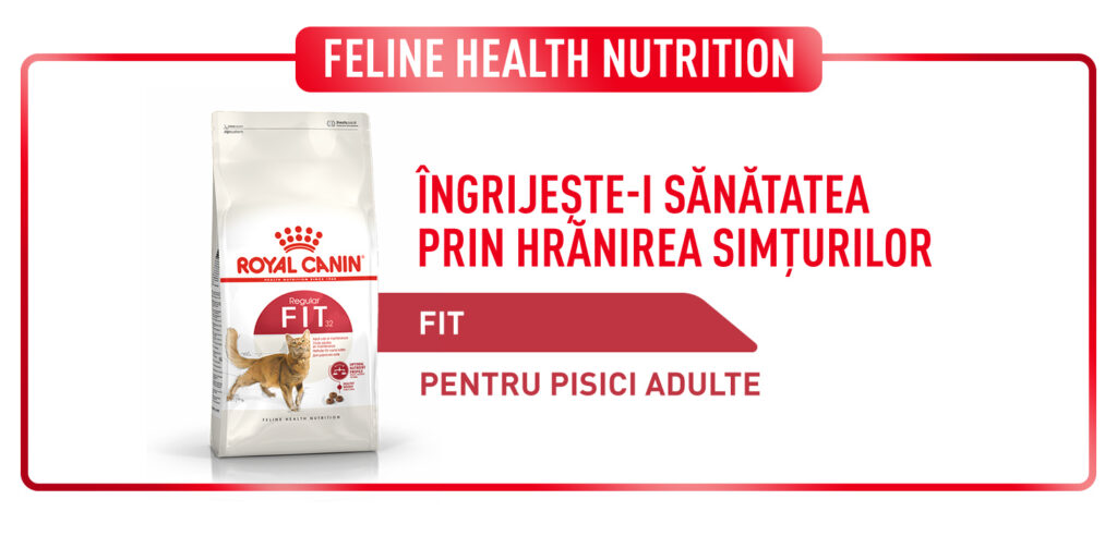Royal Canin Fit32 Adult hrana uscata pisica, activitate fizica moderata