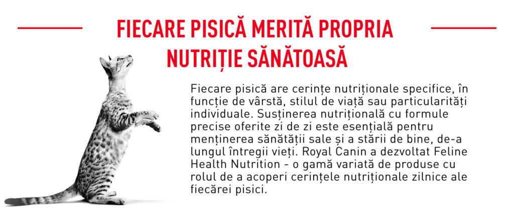 Royal Canin Fit32 Adult hrana uscata pisica, activitate fizica moderata