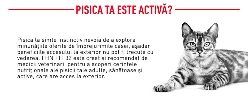 Royal Canin Fit32 Adult hrana uscata pisica, activitate fizica moderata