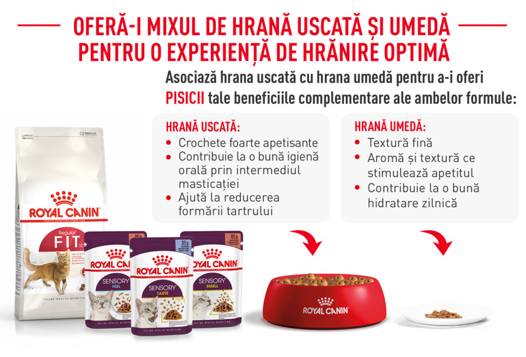 Royal Canin Fit32 Adult hrana uscata pisica, activitate fizica moderata