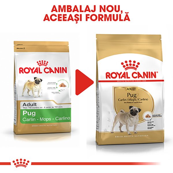 Royal Canin Pug Adult hrana uscata caine, 1.5 kg