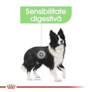 Royal Canin Medium Digestive Care hrana uscata caine, confort digestiv, 12 kg
