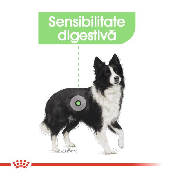 Royal Canin Medium Digestive Care hrana uscata caine, confort digestiv, 12 kg
