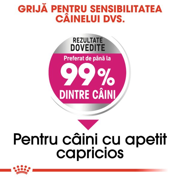 Royal Canin Mini Exigent hrana uscata caine, apetit capricios, 1 kg