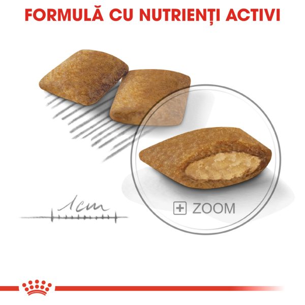 Royal Canin Mini Exigent hrana uscata caine, apetit capricios, 1 kg