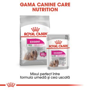 Royal Canin Mini Exigent hrana uscata caine, apetit capricios, 1 kg