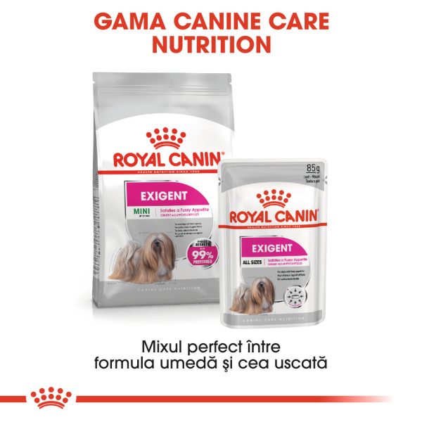 Royal Canin Mini Exigent hrana uscata caine, apetit capricios, 1 kg