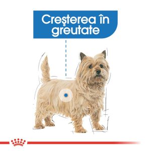 Royal Canin Light Weight Care Adult hrana umeda caine, limitarea cresterii in greutate (pate), 12 x 85 g