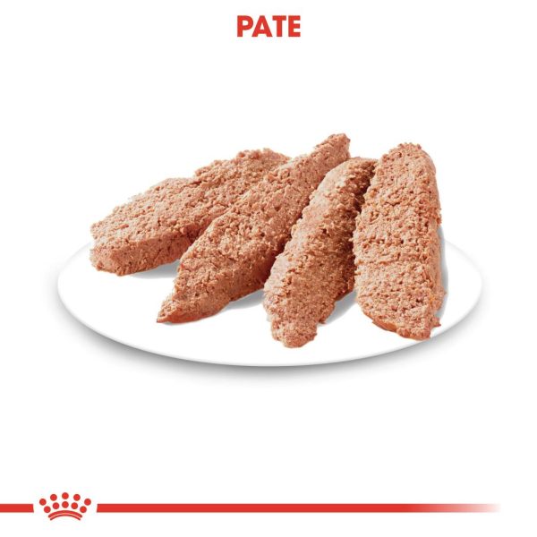 Royal Canin Light Weight Care Adult hrana umeda caine, limitarea cresterii in greutate (pate), 12 x 85 g
