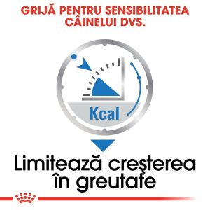 Royal Canin Light Weight Care Adult hrana umeda caine, limitarea cresterii in greutate (pate), 12 x 85 g