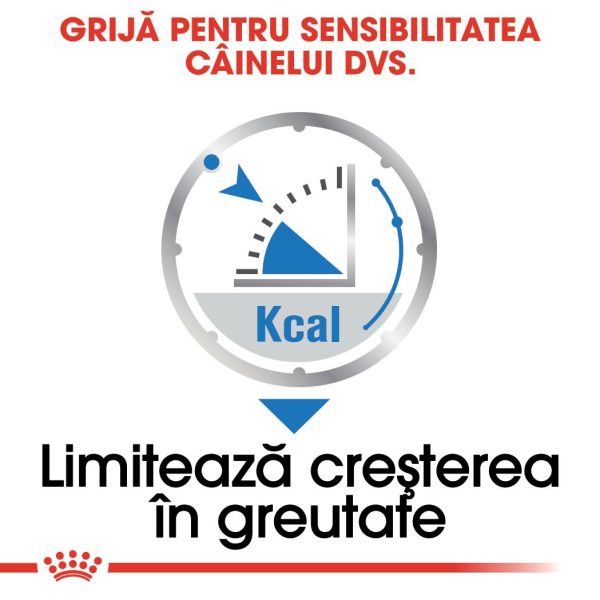 Royal Canin Light Weight Care Adult hrana umeda caine, limitarea cresterii in greutate (pate), 12 x 85 g