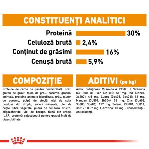 Royal Canin Mini Coat Care Adult hrana uscata caine, blana sanatoasa si lucioasa, 3 kg