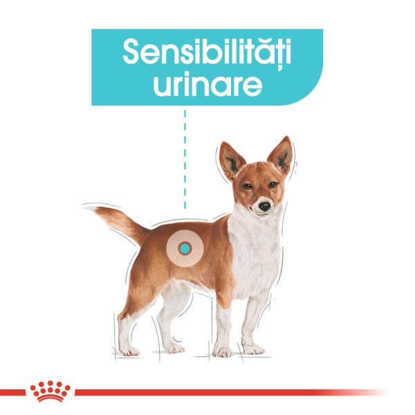 Royal Canin Mini Urinary Care hrana uscata caine, sanatatea tractului urinar, 1 kg