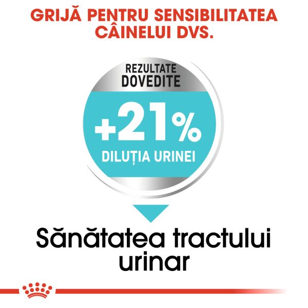 Royal Canin Mini Urinary Care hrana uscata caine, sanatatea tractului urinar, 1 kg