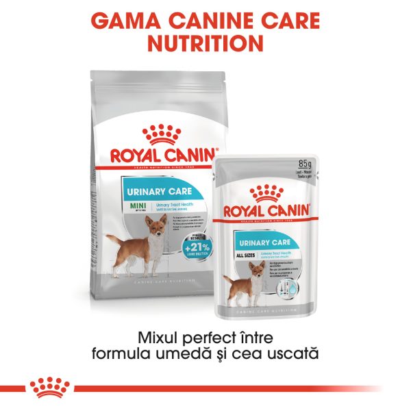 Royal Canin Mini Urinary Care hrana uscata caine, sanatatea tractului urinar, 1 kg